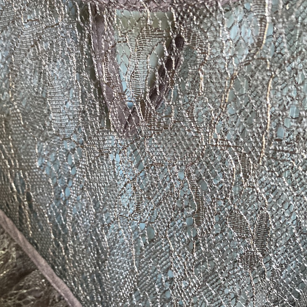 NWT Silky Lace Yoke Blouse - Picture 6 of 10